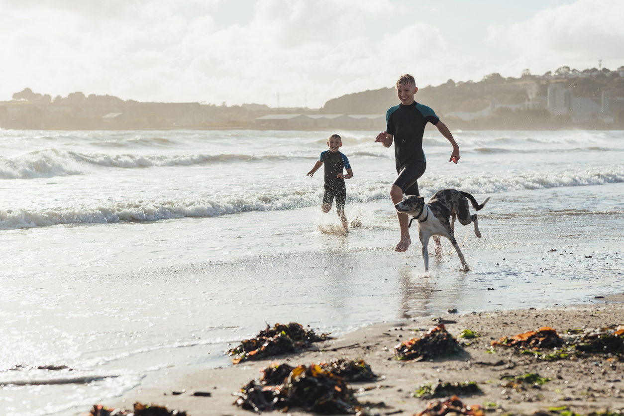 Brothers wearing wetsuits running through the sea in Cornwall on a sunny day in autumn with their pet whippet dog. They are on a staycation to lower their carbon footprint and support the local economy.