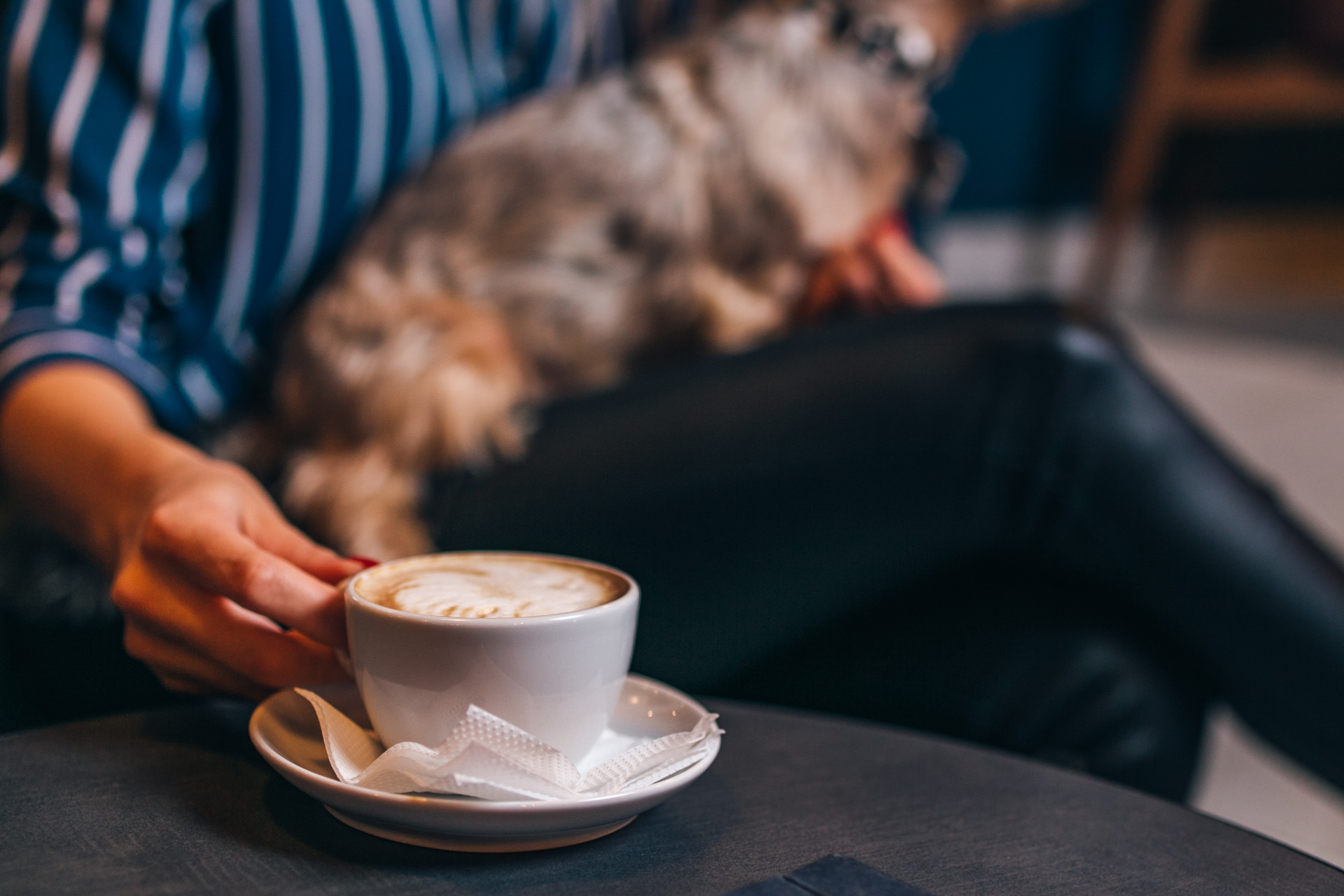 Dog-friendly caffee st ives