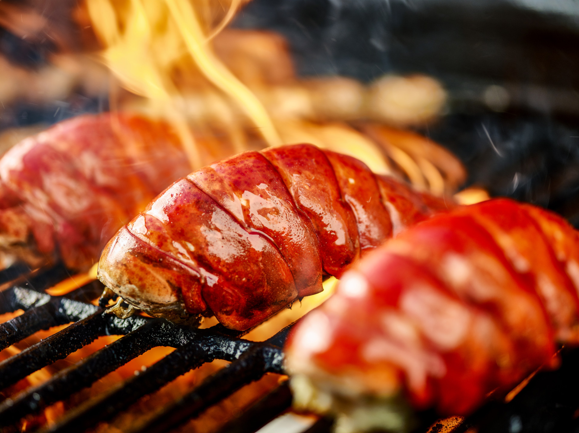 Grilled Lobster