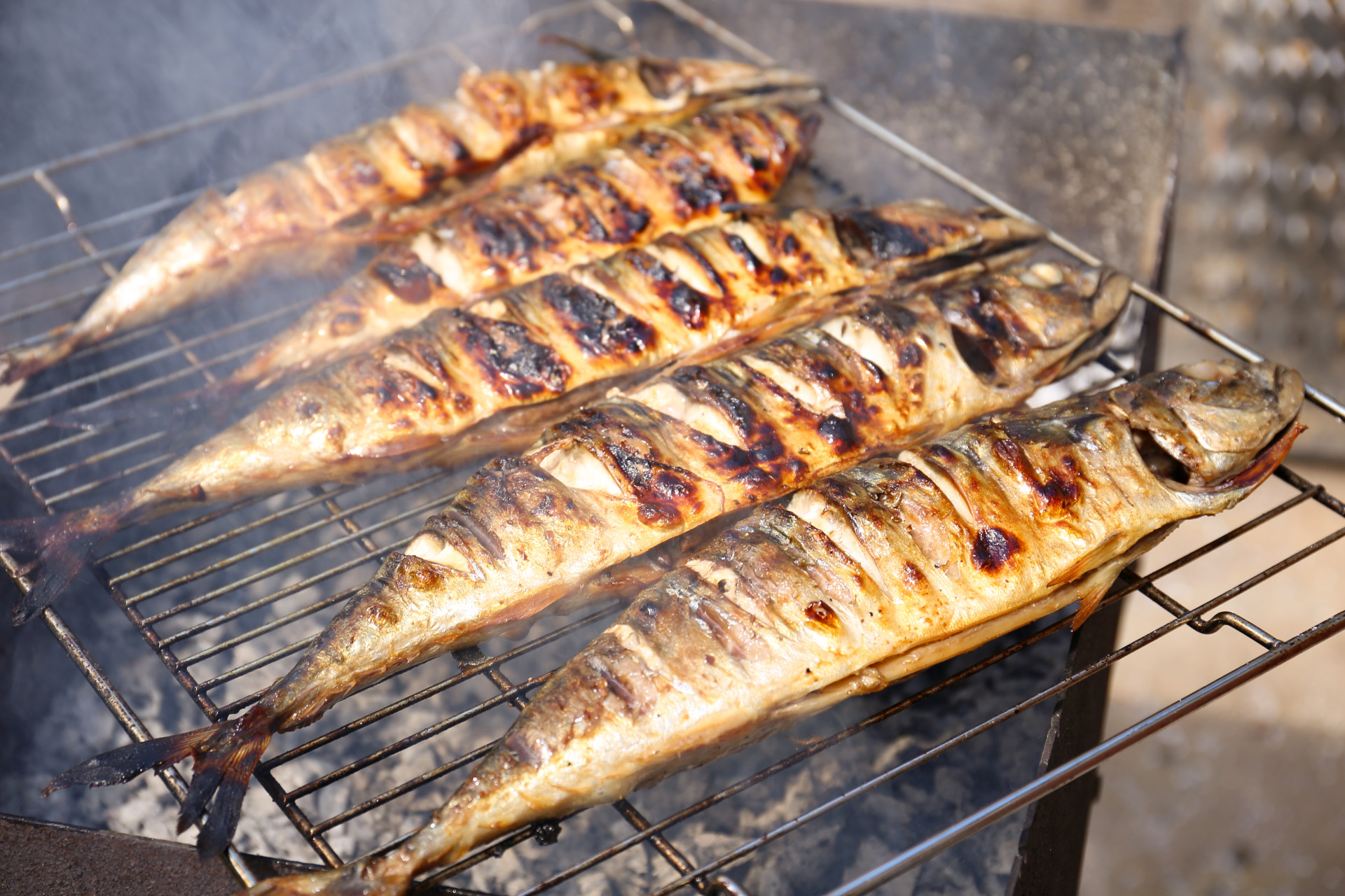 Grilled Mackerel