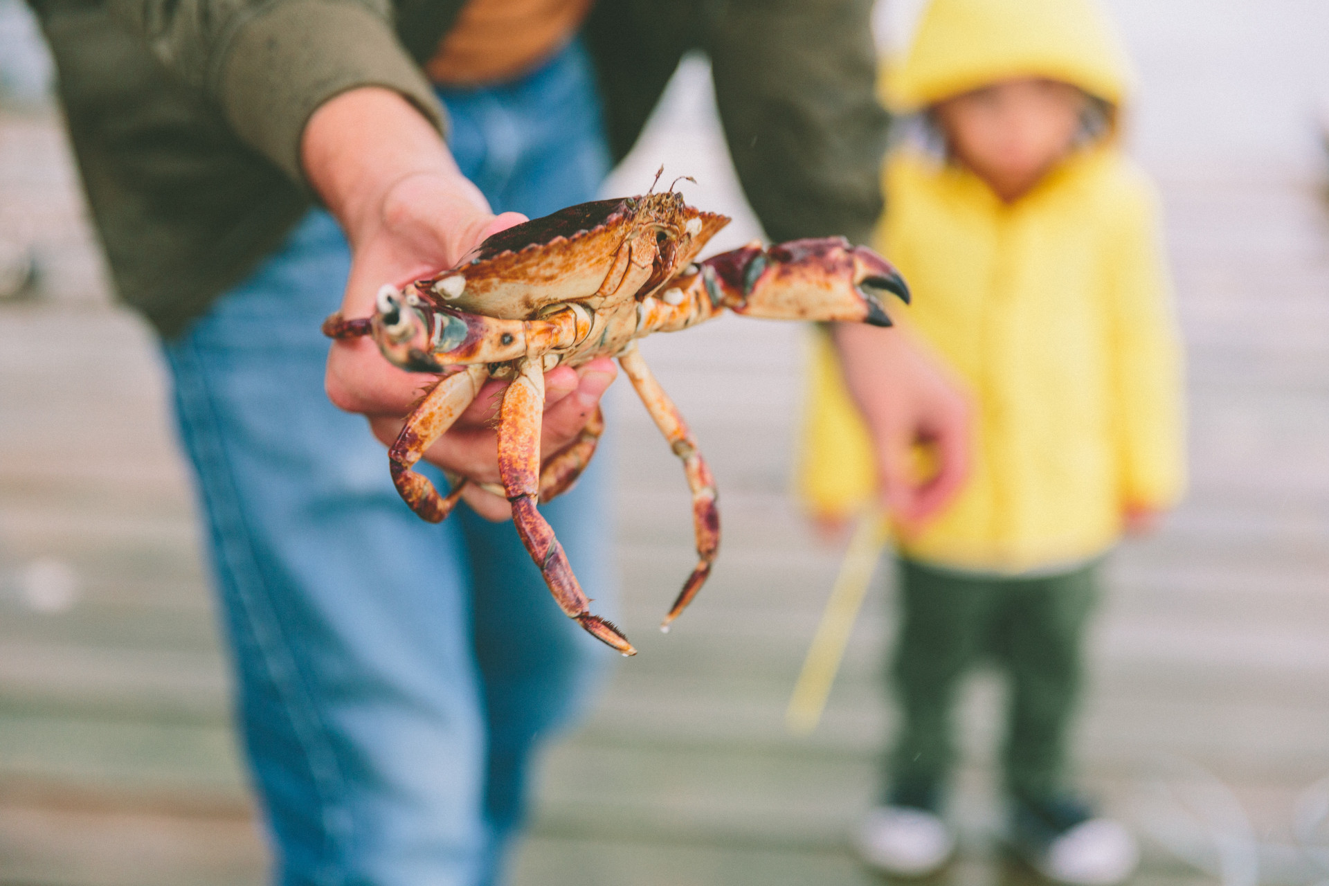 Crabbing St Ives