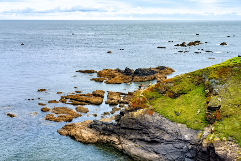 Minack Chronicles Nature Reserve