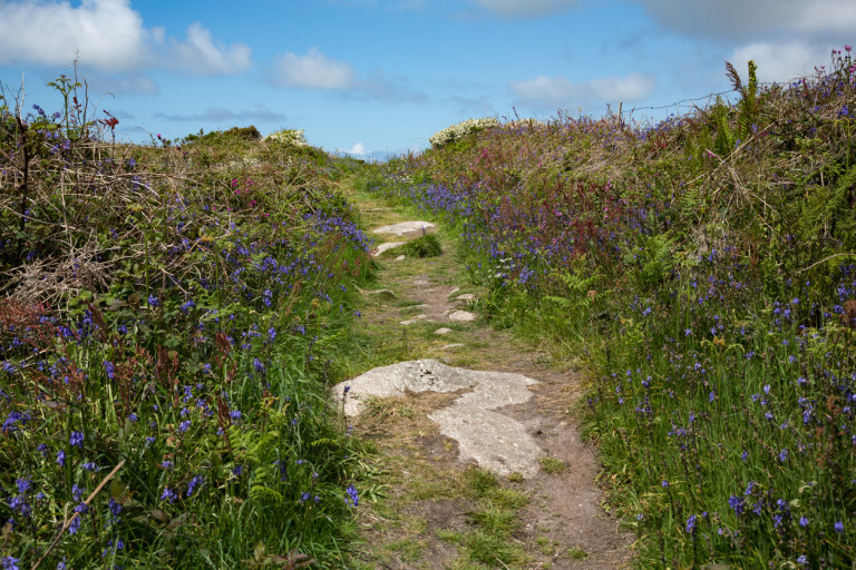 The Penwith Moors