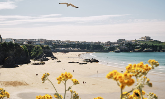 Bright Summer view across Towan Beach, Newquay, Cornwall towards the harbour at Low tide.