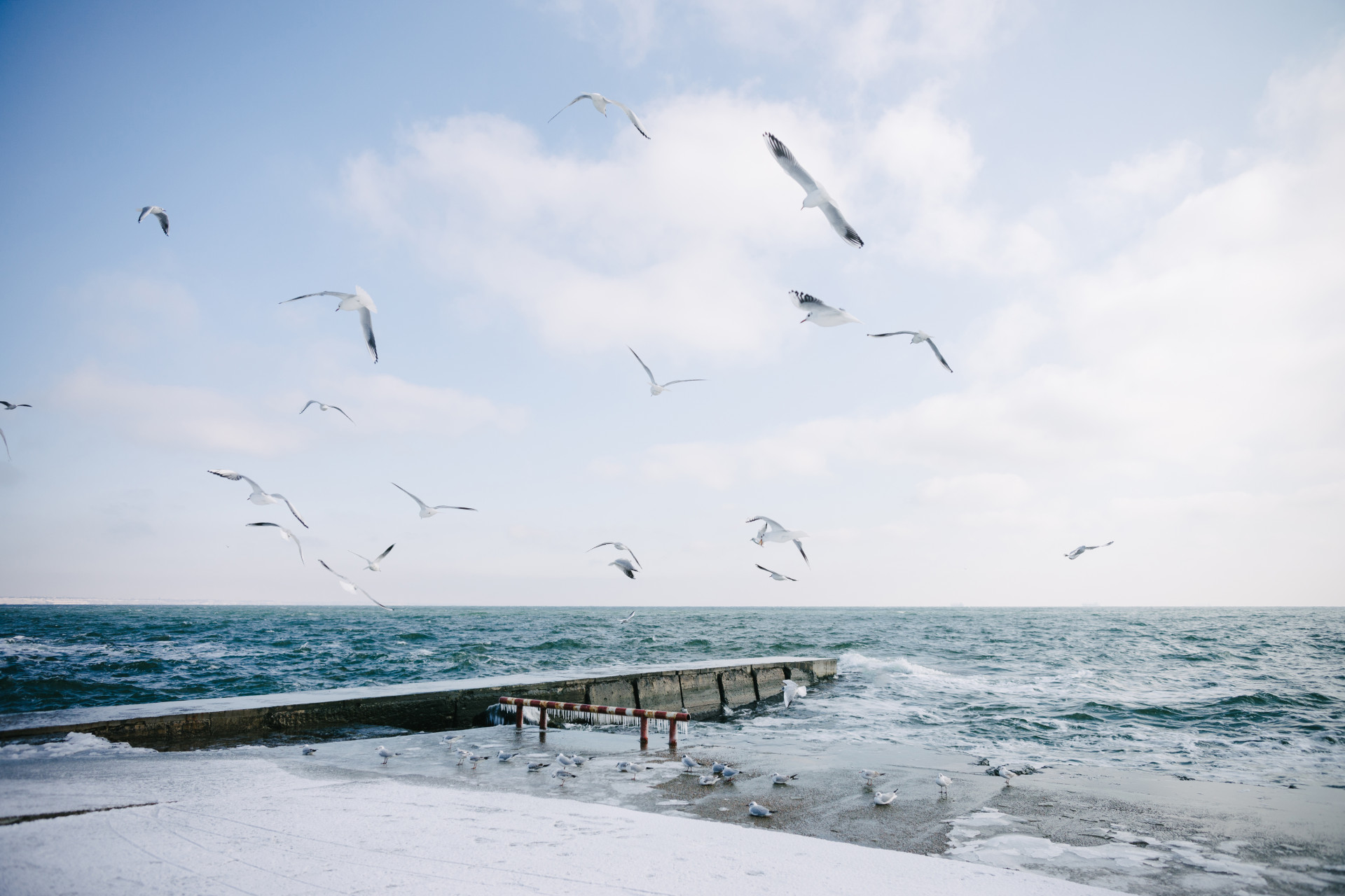 Snowy Sea