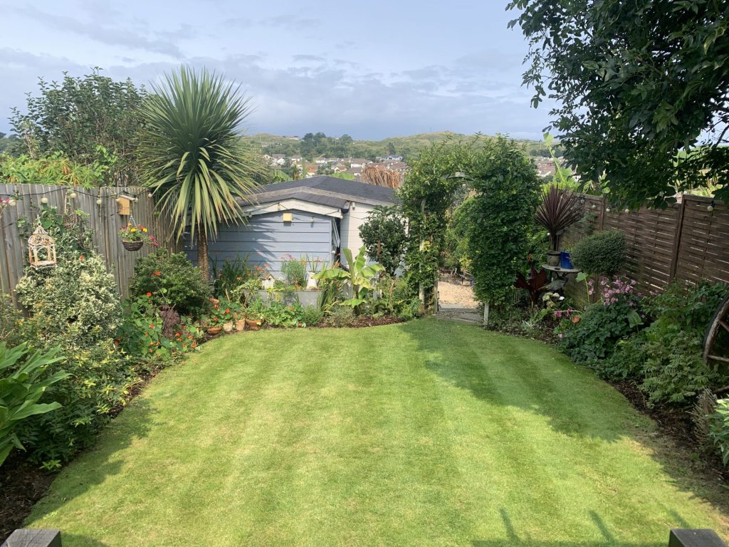 Stargazy Garden