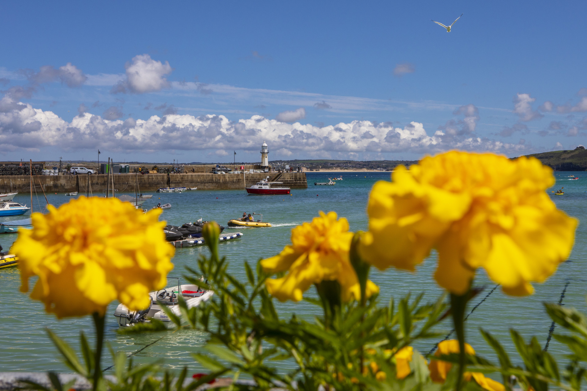 Spring in St Ives
