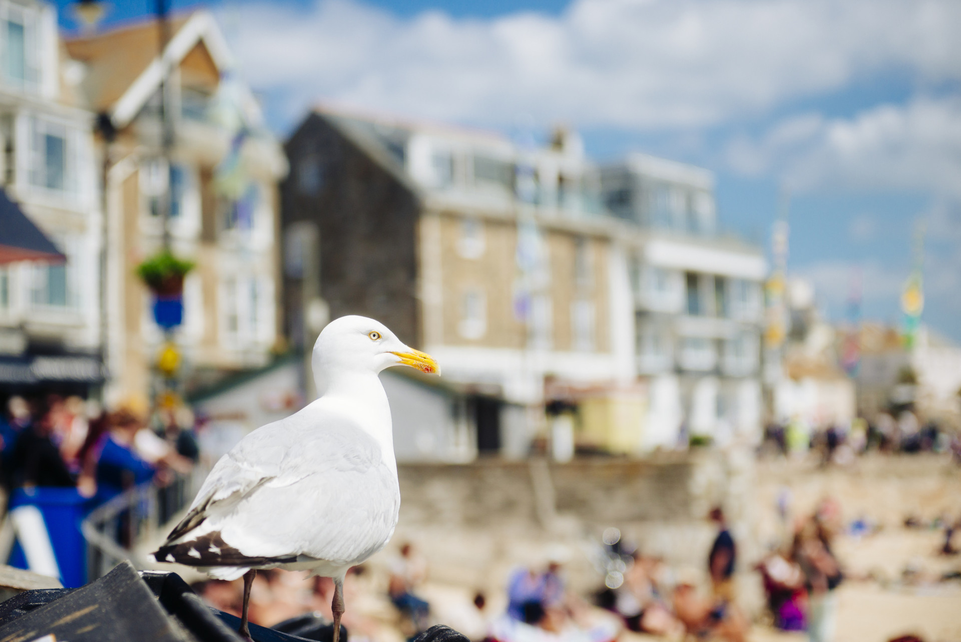 St Ives break