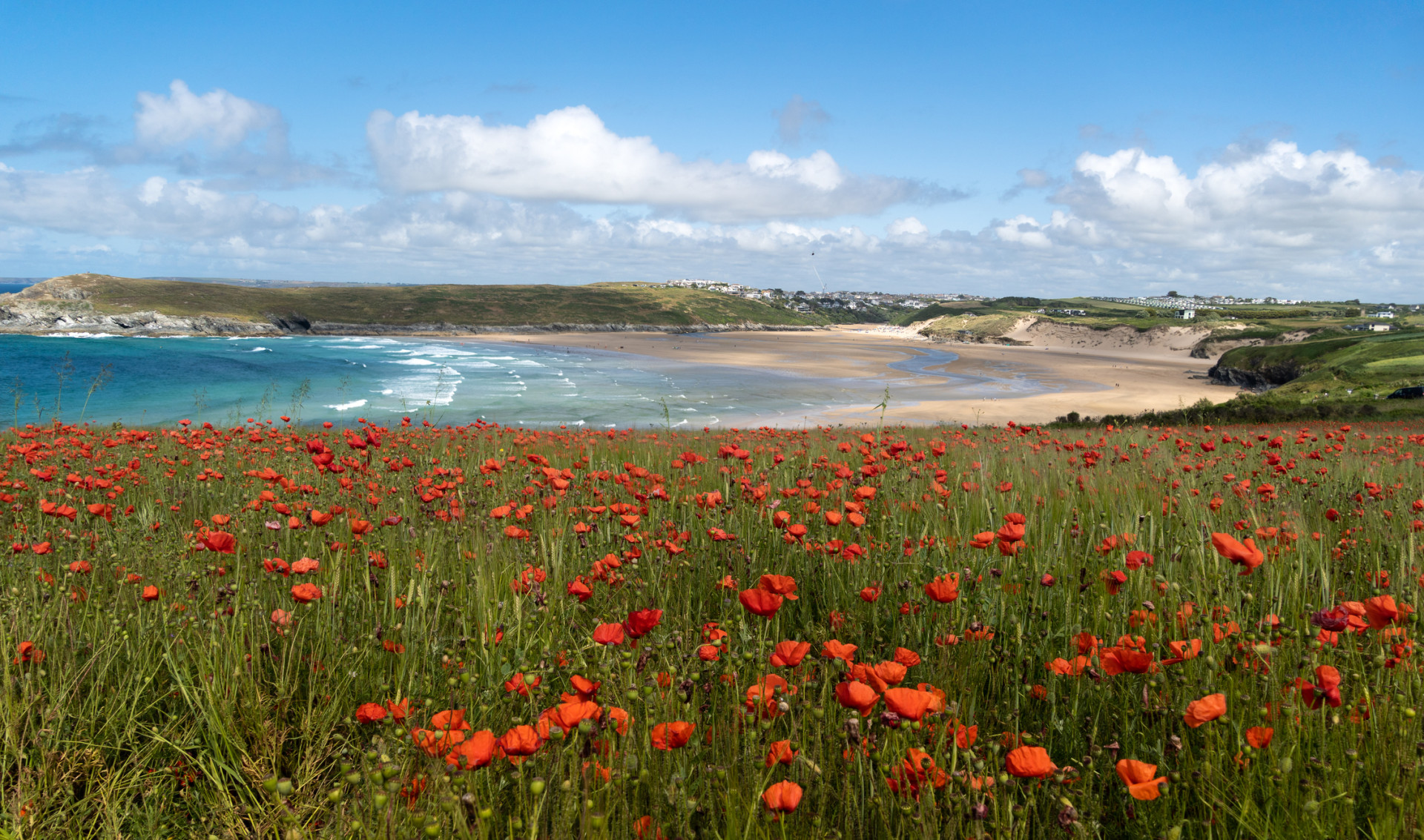 Cornwall in bloom