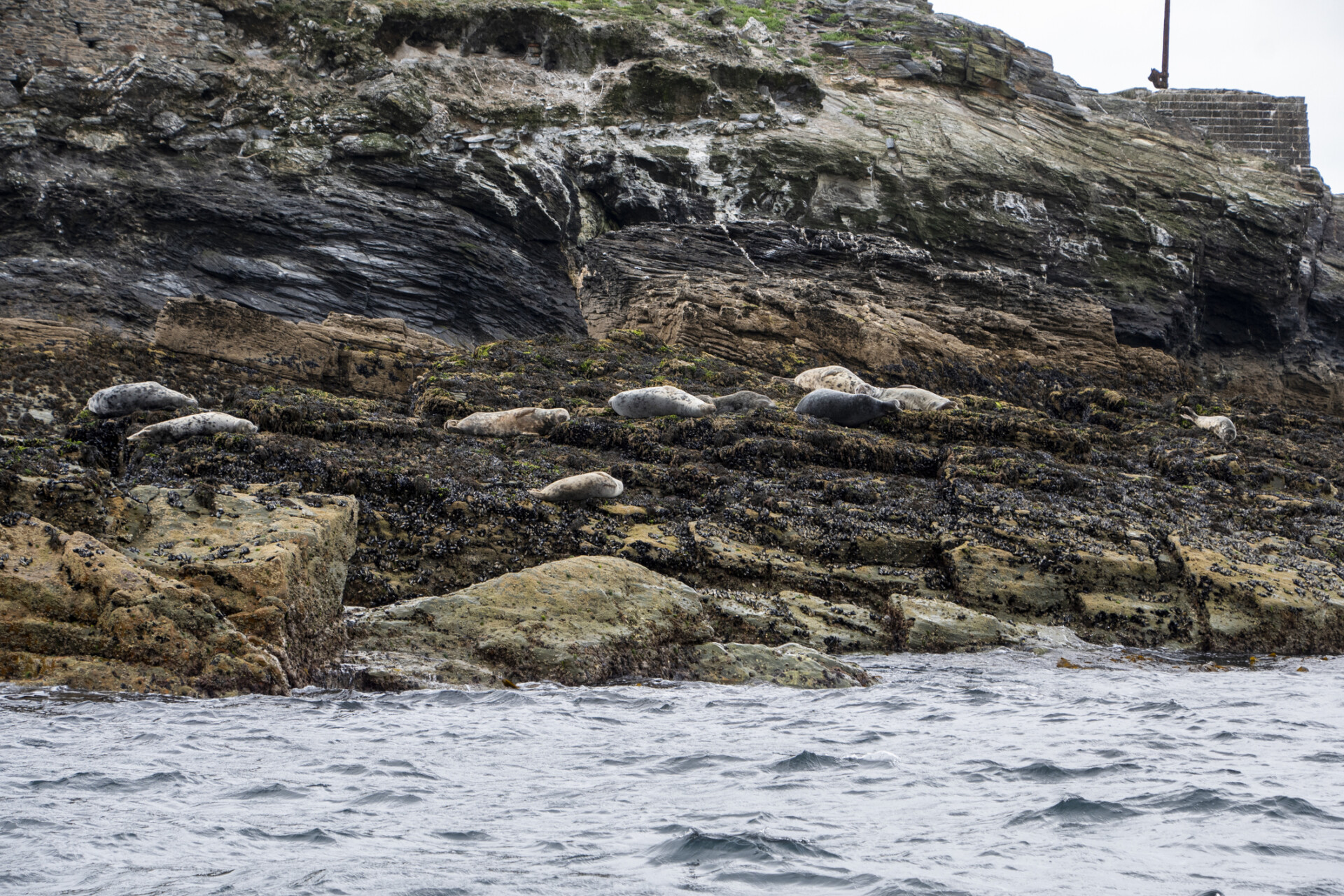 Seal Island, Cornwall